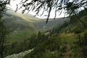 78 Per traccia di sentiero a dx a riprendere il sent. 101 di rientro alla Baita del Camoscio